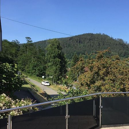 Ferienwohnung Am Eiberg 巴特维尔德巴德 外观 照片