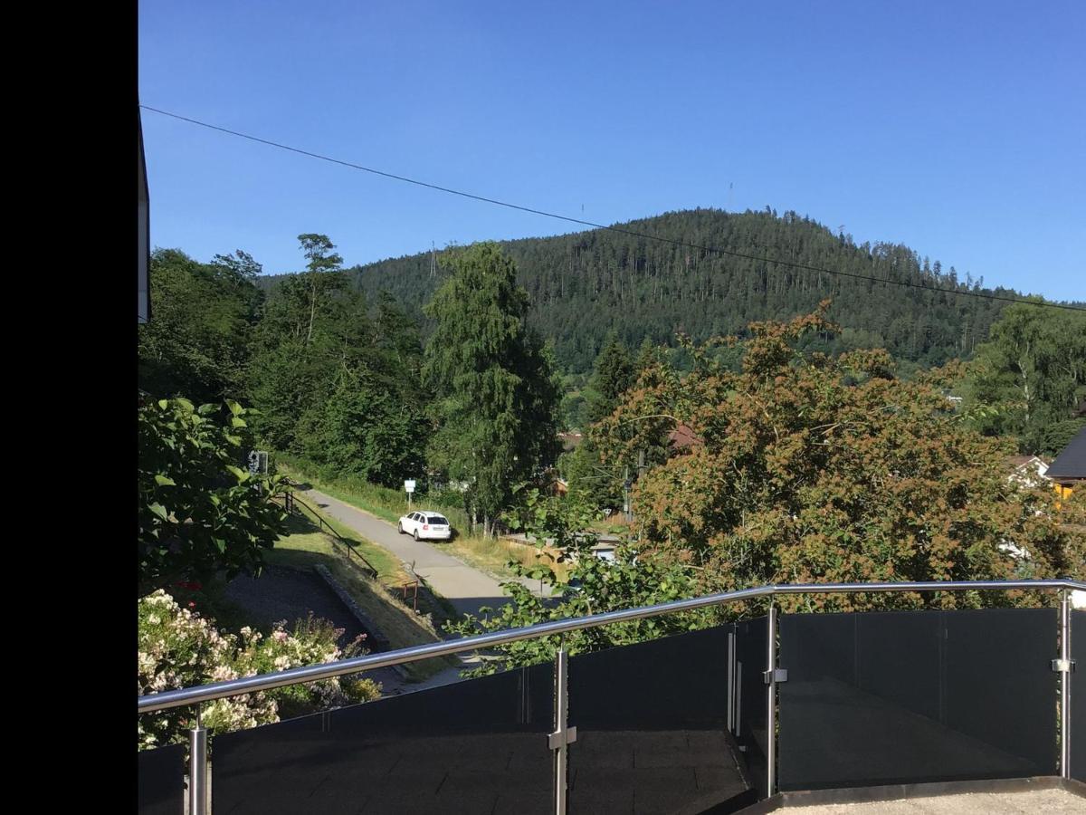 Ferienwohnung Am Eiberg 巴特维尔德巴德 外观 照片