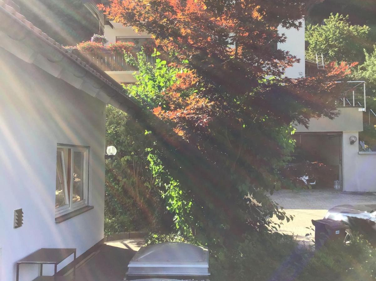Ferienwohnung Am Eiberg 巴特维尔德巴德 外观 照片