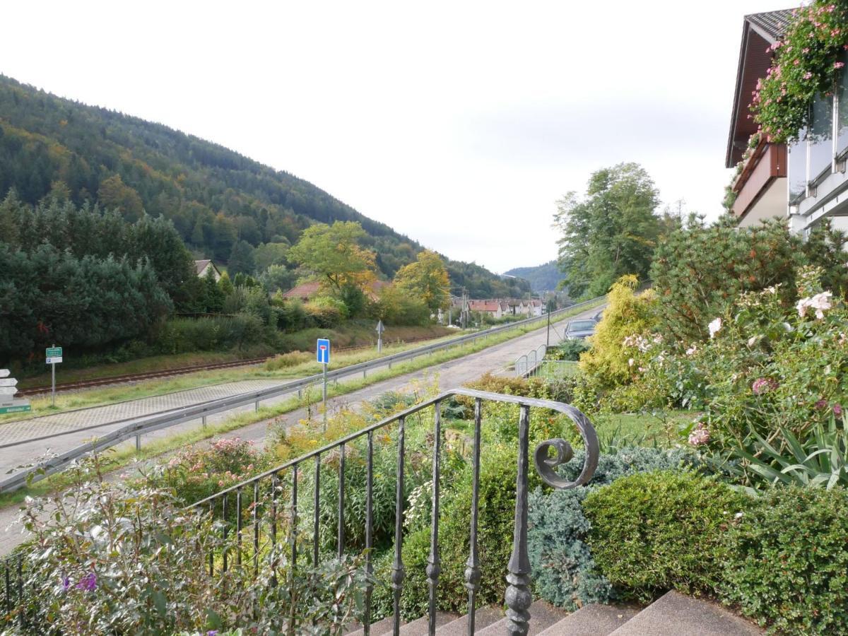 Ferienwohnung Am Eiberg 巴特维尔德巴德 外观 照片
